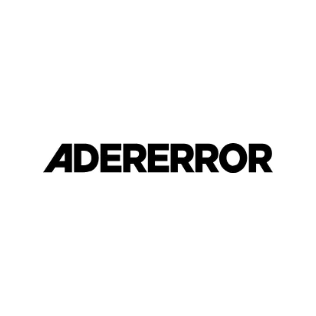 ADER ERROR 아더에러