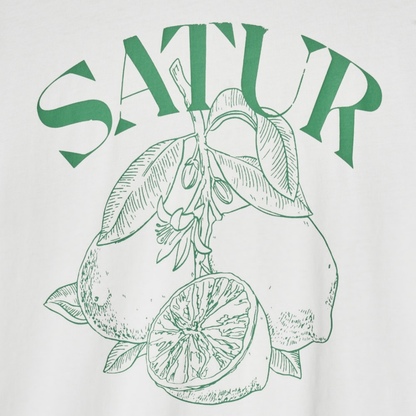 (W) Capri Citron Drawing Summer Graphic T-Shirts